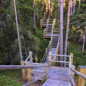 Kāpnes Pēterezera dabas takā Kāpnes Pēterezera dabas takā
