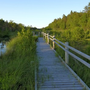 Pēterezera dabas taka Pēterezera vigā Pēterezera dabas taka Pēterezera vigā