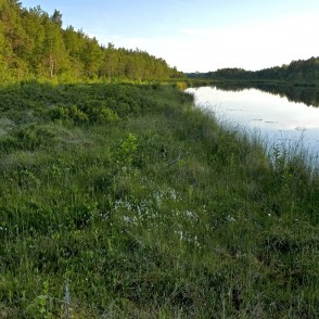 Pēterezera viga Pēterezera viga