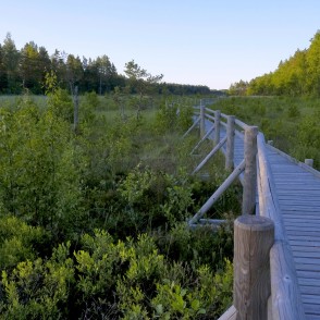 Pēterezera viga Pēterezera viga