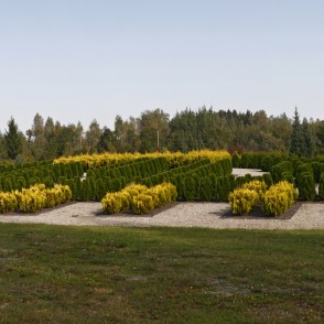 Kalsnavas arborētuma ainava Kalsnavas arborētuma ainava