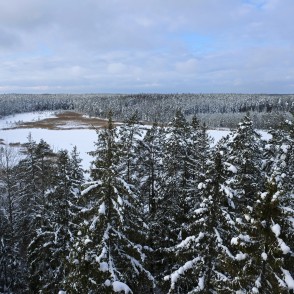 Skats no Kangaru skatu torņa ziemā Skats no Kangaru skatu torņa ziemā