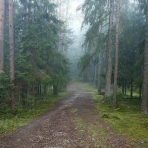 Ogres "Zilie kalni" Ogres "Zilie kalni"