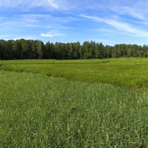 Valātas parka daļa Kazdangā (Panorāma) Valātas parka daļa Kazdangā (Panorāma)