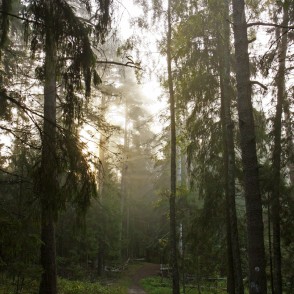 Ogres "Zilie kalni" Ogres "Zilie kalni"