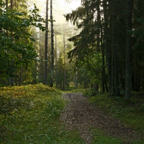 Ogres "Zilie kalni" Ogres "Zilie kalni"