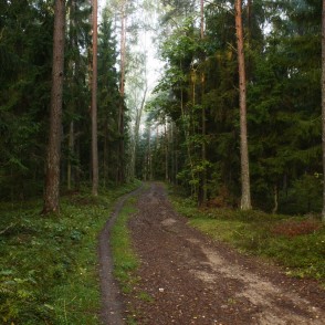 Ogres "Zilie kalni" Ogres "Zilie kalni"