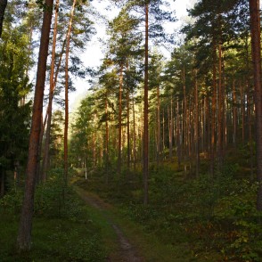 Ogres "Zilie kalni" Ogres "Zilie kalni"