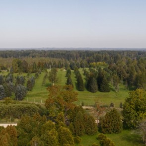 Panorāmas skats no Kalsnavas arborētuma skatu torņa Panorāmas skats no Kalsnavas arborētuma skatu torņa