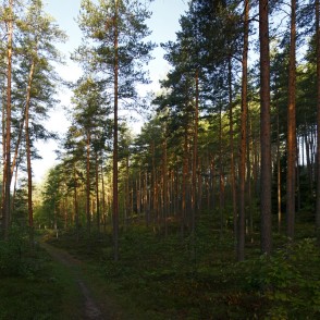 Ogres "Zilie kalni" Ogres "Zilie kalni"