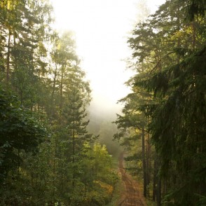 Ogres "Zilie kalni" Ogres "Zilie kalni"