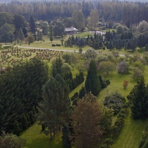 Skats no Kalsnavas arborētuma skatu torņa Skats no Kalsnavas arborētuma skatu torņa