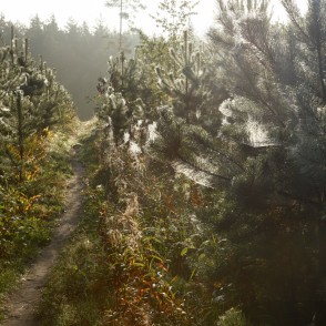 Ogres "Zilie kalni" Ogres "Zilie kalni"