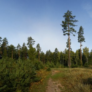 Ogres "Zilie kalni" Ogres "Zilie kalni"