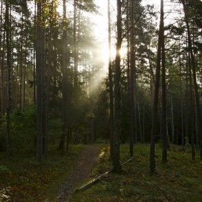 Ogres "Zilie kalni" Ogres "Zilie kalni"