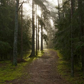 Ogres "Zilie kalni" Ogres "Zilie kalni"