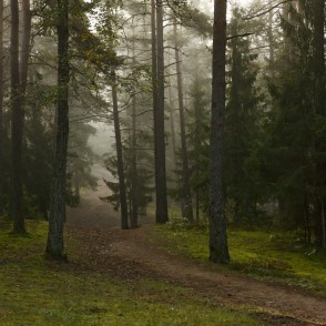 Ogres "Zilie kalni" Ogres "Zilie kalni"