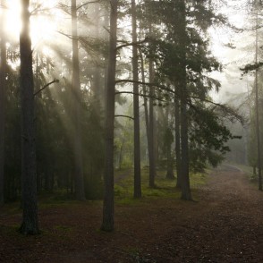 Ogres "Zilie kalni" Ogres "Zilie kalni"