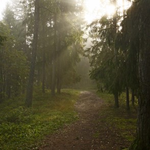 Ogres "Zilie kalni" Ogres "Zilie kalni"