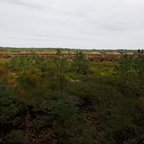 Kūdras izstrāde Cenas tīrelī Kūdras izstrāde Cenas tīrelī