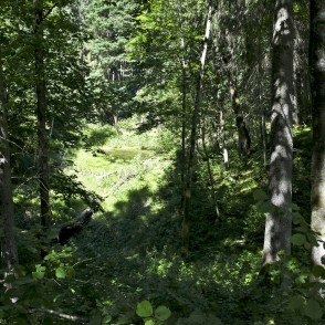 Skaistkalnes kritenes Skaistkalnes kritenes