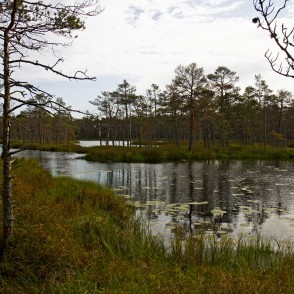 Skaista ezers Cenas tīrelī Skaista ezers Cenas tīrelī