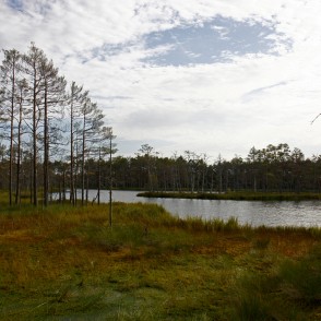 Skaista ezers Cenas tīrelī Skaista ezers Cenas tīrelī