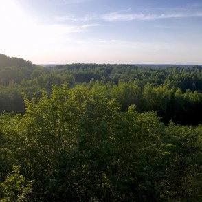 Skats no Kornetu Dzērves kalna skatu torņa Skats no Kornetu Dzērves kalna skatu torņa