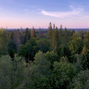 Skats no Dēliņkalna skatu torņa Skats no Dēliņkalna skatu torņa