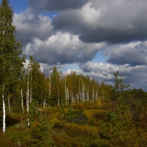 Vasenieku purvs rudenī Vasenieku purvs rudenī