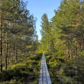 Vasenieku purva taka Vasenieku purva taka