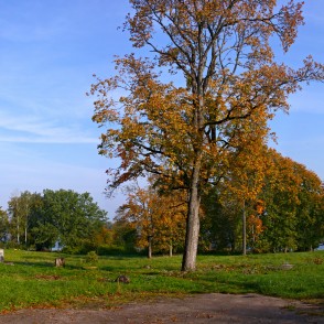 Lindes parka ainava Lindes parka ainava