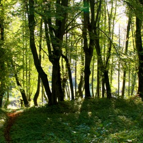 Lindes parka panorāma Lindes parka panorāma