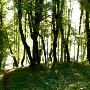 Lindes parka panorāma Lindes parka panorāma