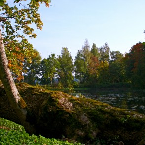 Nokritis koks Lindes parkā Nokritis koks Lindes parkā