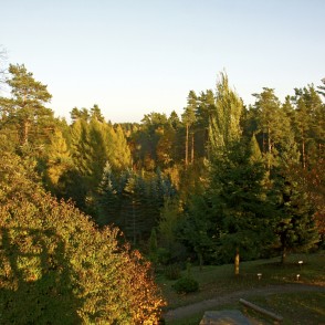 Lazdukalns jeb tautā dēvētais Špakovska parks Lazdukalns jeb tautā dēvētais Špakovska parks