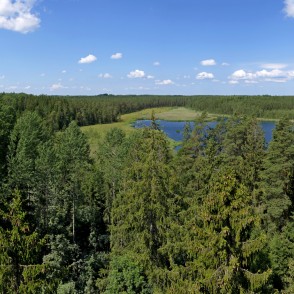 Panorāmas skats no Kangaru skatu torņa Panorāmas skats no Kangaru skatu torņa