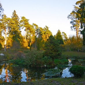 Lazdukalns jeb tautā dēvētais Špakovska parks Lazdukalns jeb tautā dēvētais Špakovska parks