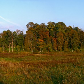 Skats uz pauguru, kur atrodas Embūtes pilsdrupas Skats uz pauguru, kur atrodas Embūtes pilsdrupas