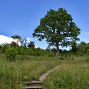Greiļu kalna skatu vieta Greiļu kalna skatu vieta