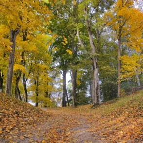 Lapām klāta taka Lielvārdes parkā rudenī Lapām klāta taka Lielvārdes parkā rudenī