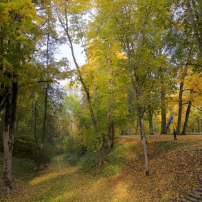 Rudens saules stari caur zeltainajām lapām parkā Rudens saules stari caur zeltainajām lapām parkā