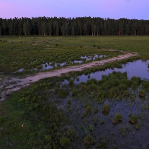 Dabas parka "Engures ezers" ainava Dabas parka "Engures ezers" ainava