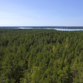 Skats no Ūdru kalna skatu torņa Skats no Ūdru kalna skatu torņa