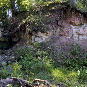 Omiķu gravas atsegumi Omiķu gravas atsegumi