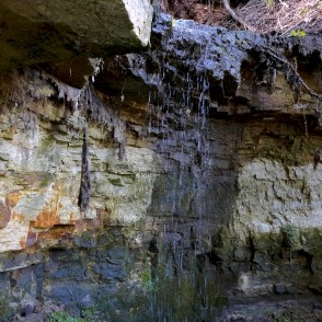 Omiķu gravas dolomīta atsegumi Omiķu gravas dolomīta atsegumi