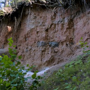 Atsegumi Omiķu gravā Atsegumi Omiķu gravā