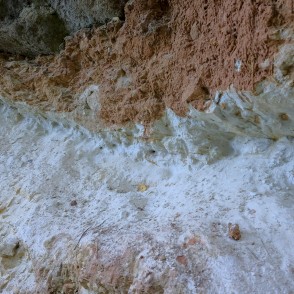 Atsegumi Omiķu gravā Atsegumi Omiķu gravā