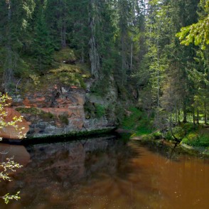 Melnais iezis (atseguma sākums) Melnais iezis (atseguma sākums)