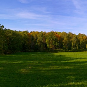Kokneses dabas parka panorāma Kokneses dabas parka panorāma